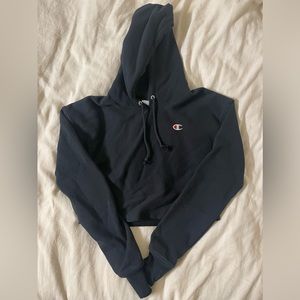 champion cropped hoodie